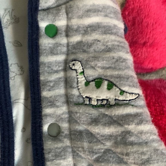 Dinosaur 🦖🦕 Vest - Picture 2 of 6
